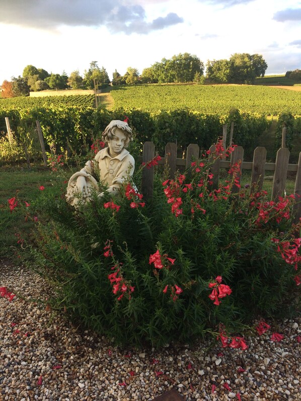 Overnattingsstedets uteområder