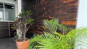 A modern indoor space with a dark wooden wall and a large potted plant with long green leaves. - Torre Yaxche 39 (Cancun)