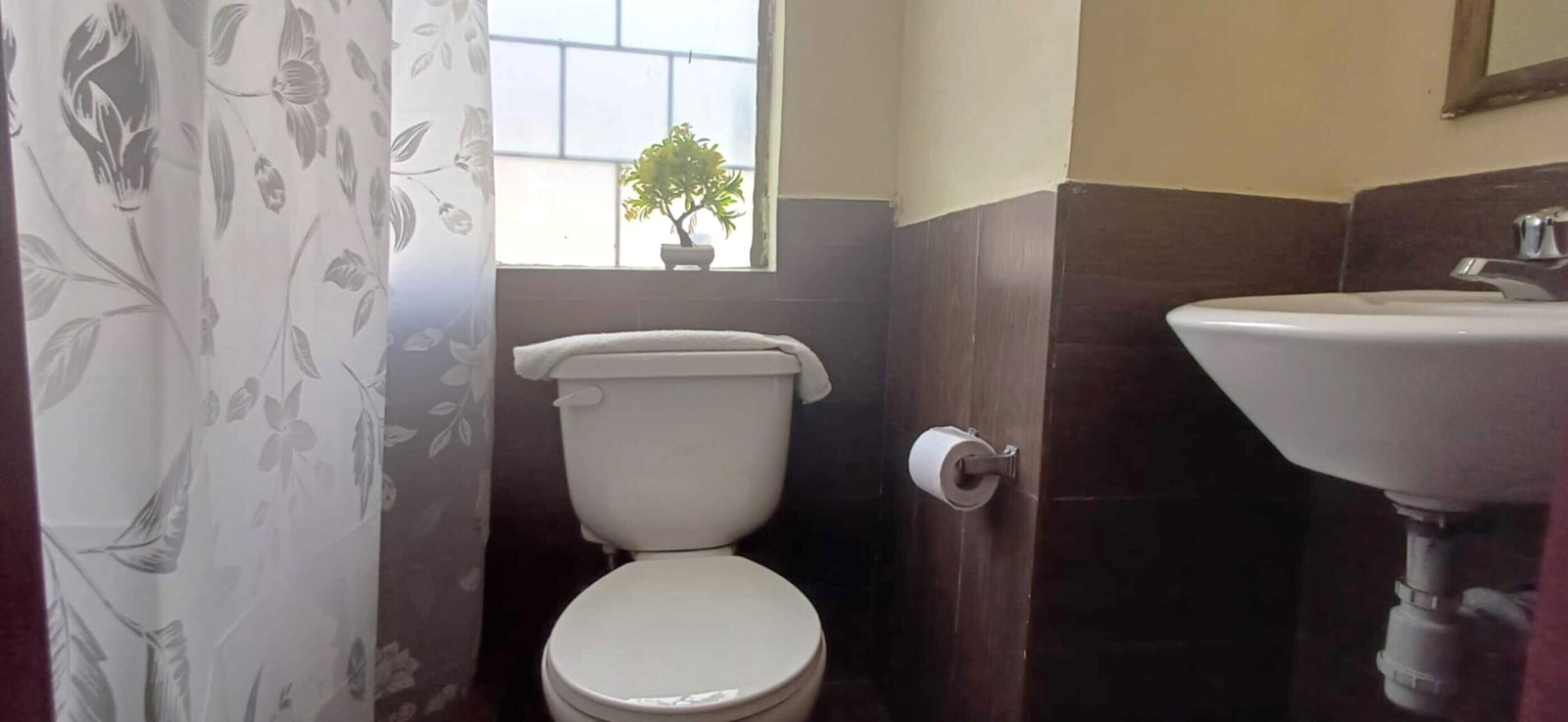 Un baño con inodoro, lavabo y ventana con planta.