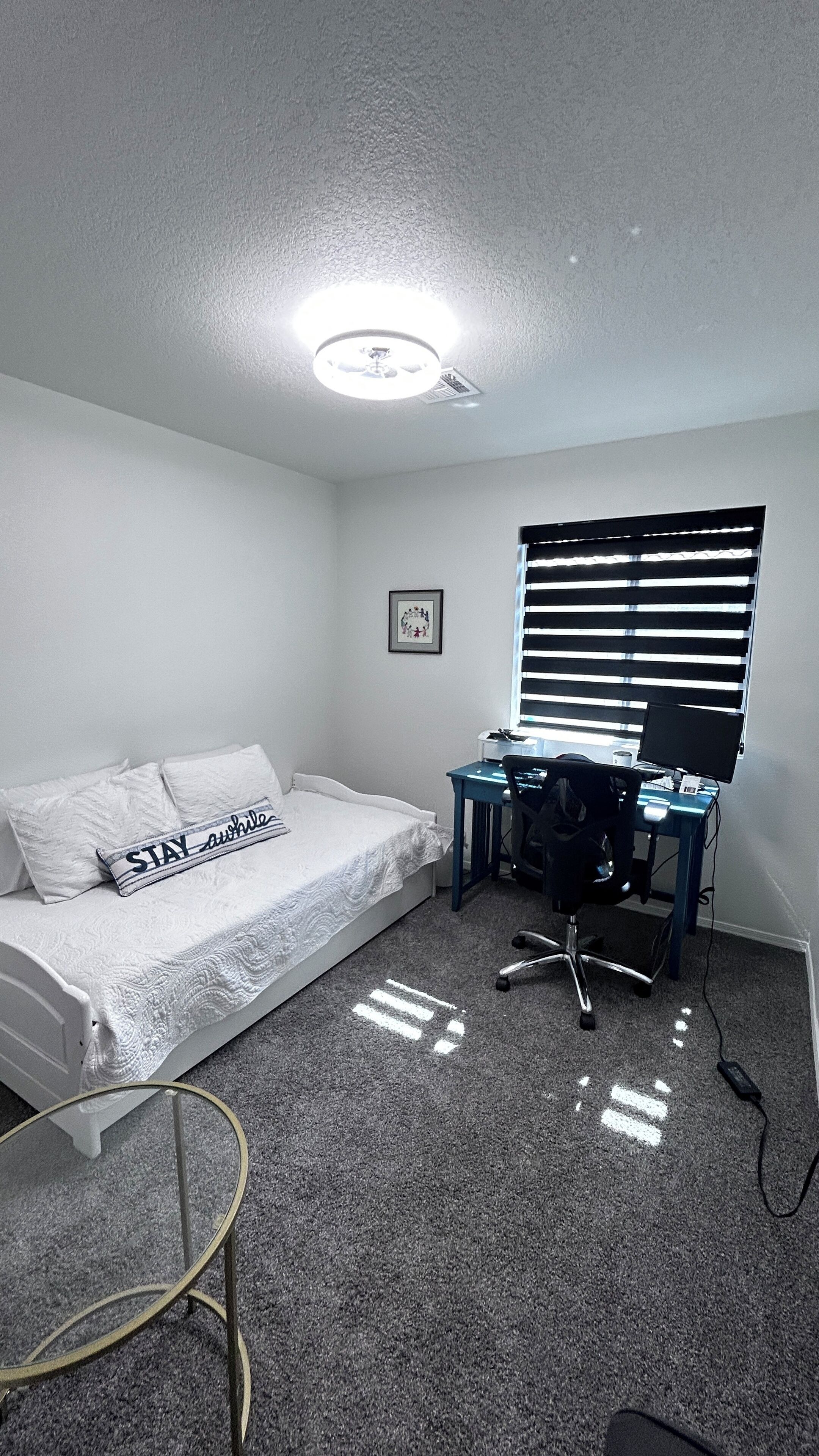 Brand new 4 BD + 2 BATH fully furnished House near Foothills!