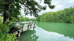Lake view - Rimsira (Pathio)