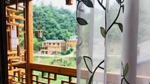 Blick von einem Balkon mit Hollerguter und einem weißen Vorhang mit Blattmuster.