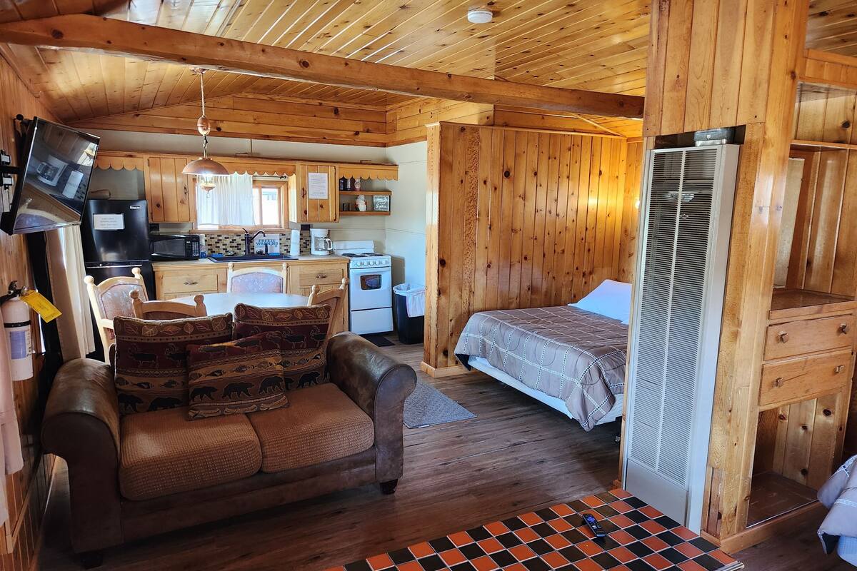 A cozy cabin-style room with a sofa, a bed, a small kitchen area, and a television mounted on the wall.