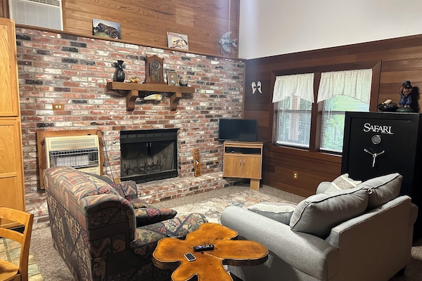 Televisor intel·ligent i llar de foc