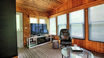 Televisión y chimenea