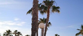As055 Cosy 2 bedroom, in the green palm tree oasis