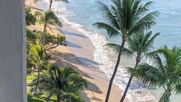 A beach with palm trees and a sandy shore. - Perch - Oceanfront Tranquility: 1BR Condo w/ Views (Lahaina)