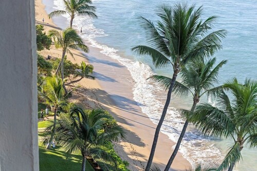 Perch - Oceanfront Tranquility: 1BR Condo w/ Views