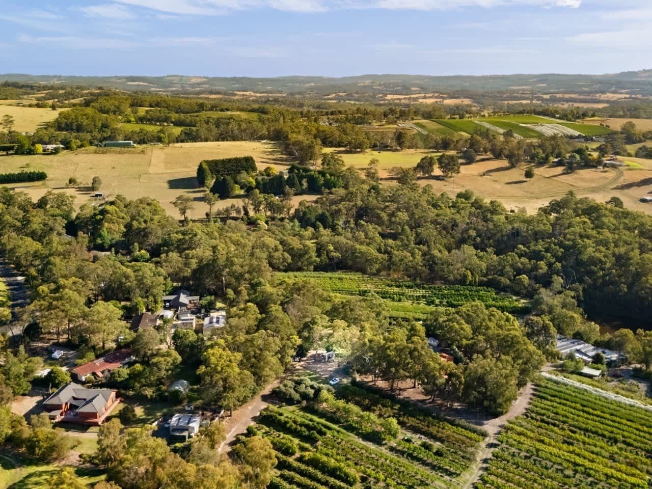 Vista aérea de una zona rural con viñedos, edificios residenciales y campos abiertos.