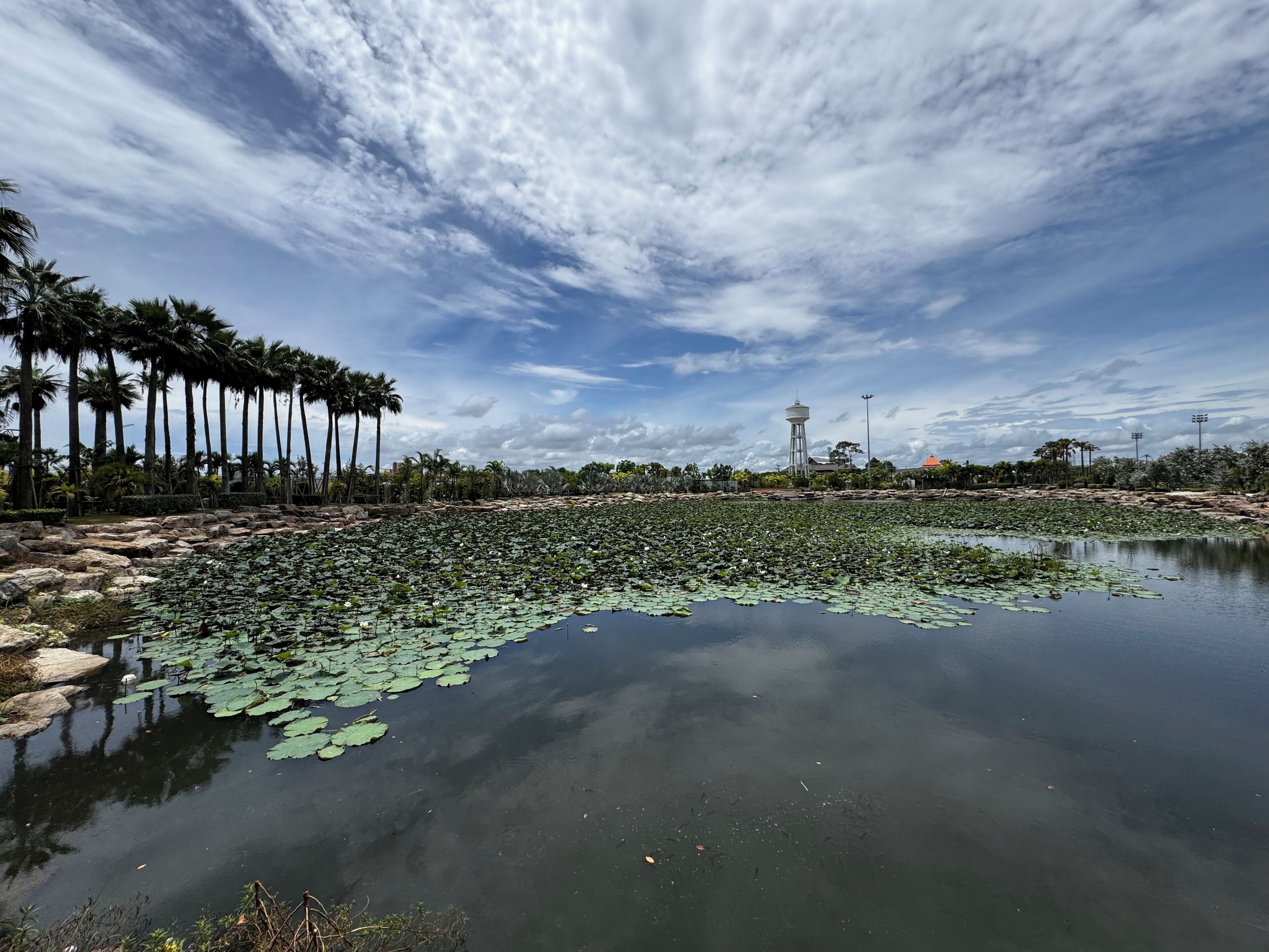 Un paysage paisible avec une étendue d’eau bordée de palmiers et, au loin, une structure en forme de tour.