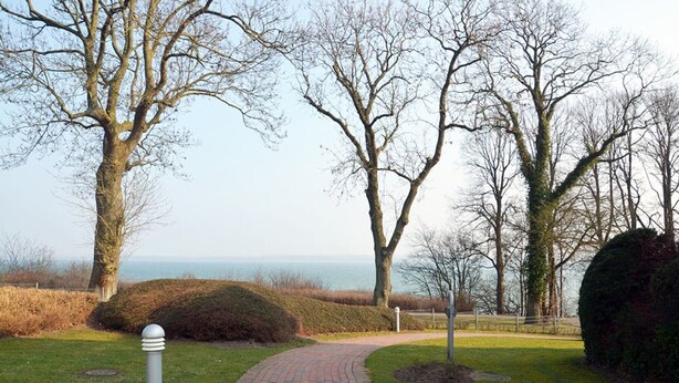 A paved pathway in a park with trees and a view of the sea.