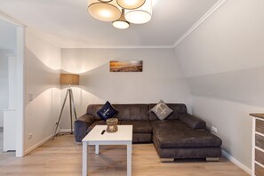 Televisio, DVD-soitin