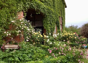 Ein Backsteinhaus mit efeuüberwachsenen Wänden und einem Rosengarten.