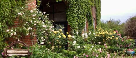 Overnattingsstedets uteområder