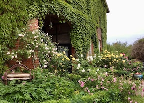 A brick building with ivy-covered walls and a garden with roses.