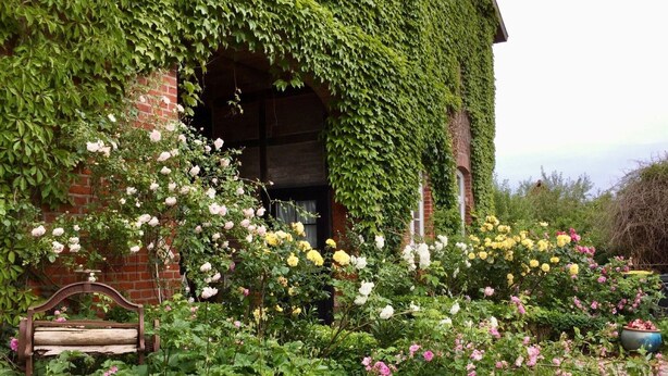 Un edificio in mattoni con pareti coperte d'edera e un giardino con rose.