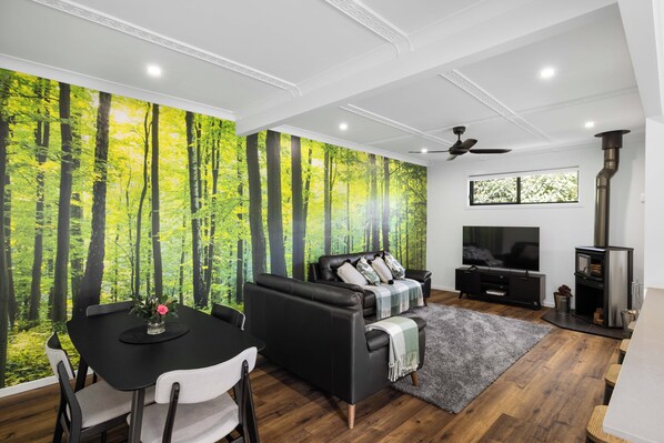 Smart TV, fireplace, stereo