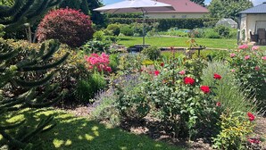 Un jardín con diversas plantas y flores, un paraguas blanco y una casa con techo rojo al fondo.