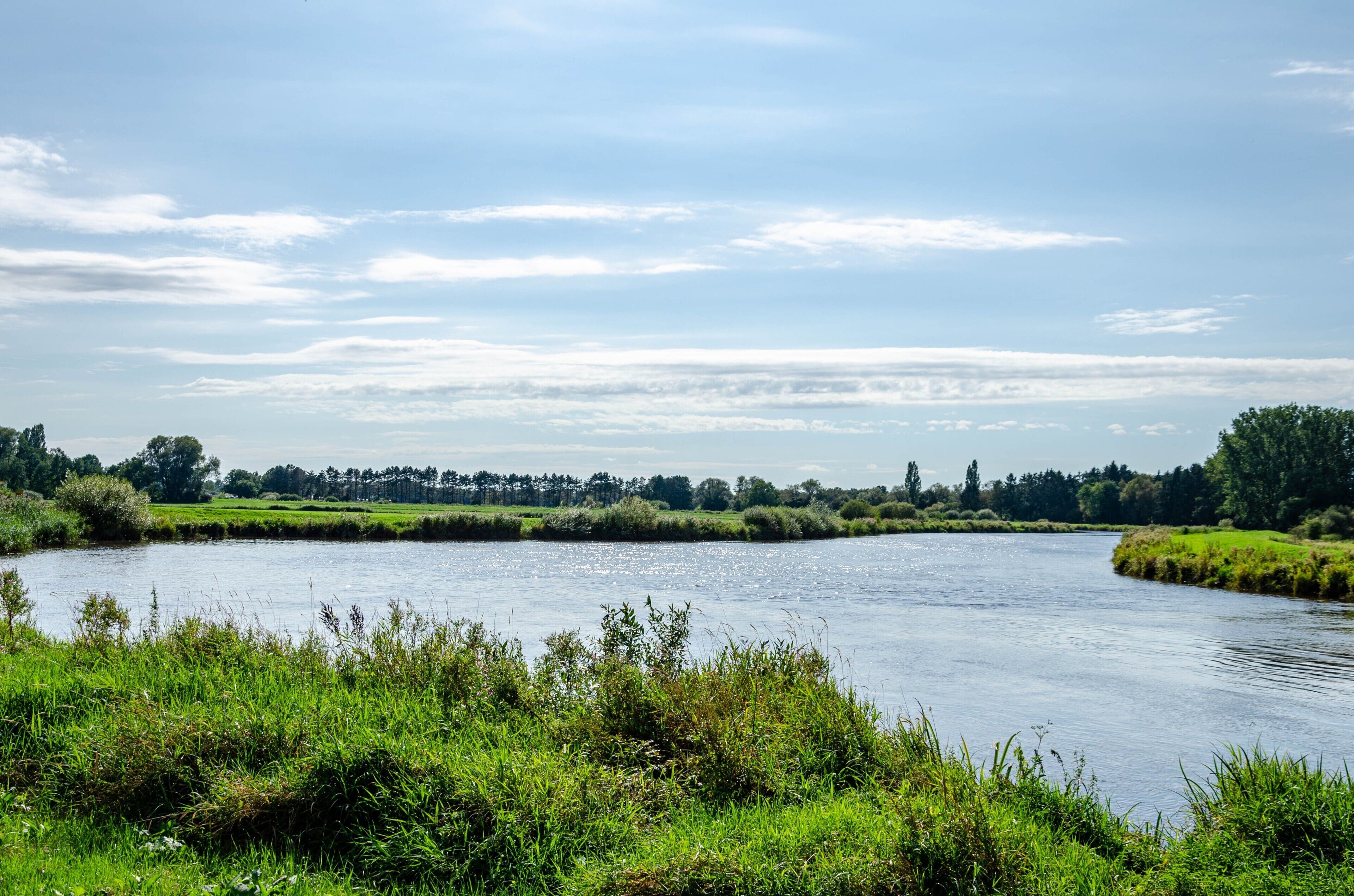 Ein Fluss mit grasbewachsenen Ufern und Bäumen im Hintergrund.