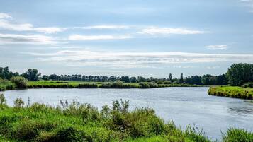 Ein Fluss mit grasbewachsenen Ufern und Bäumen im Hintergrund.