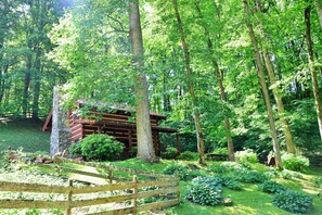 Exterior - The Cove: Log Cabin! Pet Friendly! Fire Pit! (Whittier)