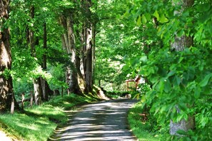 Property grounds - The Ridge: Fire Pit, Screened Porch, Scenic Views, Gas Grill, Full Kitchen, Pet-Friendly (Whittier)