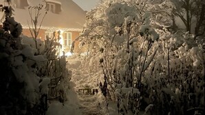 Un sendero cubierto de nieve que lleva a un edificio con una ventana iluminada, rodeado de árboles cargados de nieve.