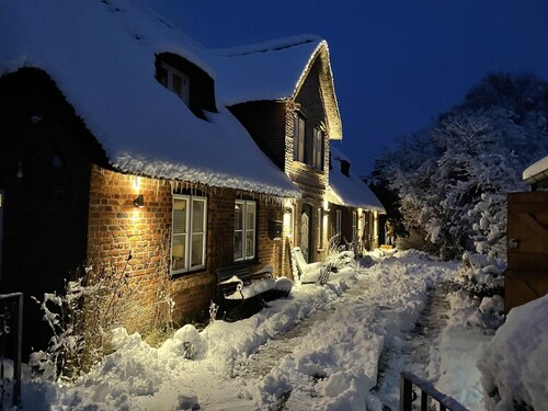 Ferienhaus 'Reetdachhaus Auf Eiderstedt' mit privater Terrasse und WLAN