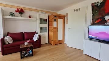 Fernseher, DVD-Player, Tischtennisplatte