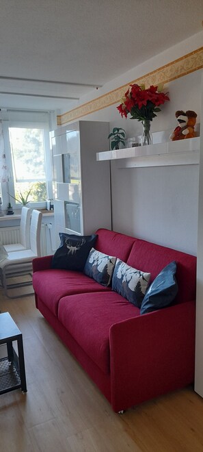 TV, DVD player, ping pong - Studio Apartment 'Holiday Apartment in the Black Forest' with Mountain View, Shared Terrace and Wi-Fi (Baiersbronn)