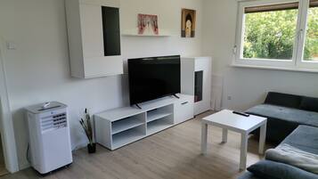 TV, fireplace