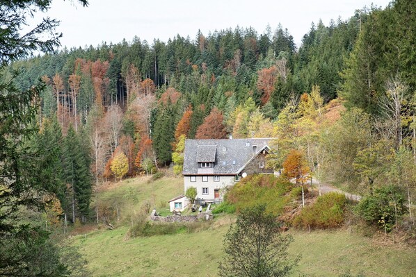 A house surrounded by a forest with autumn foliage.