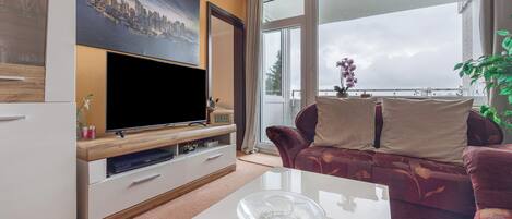 تلفزيون، مشغل دي في دي