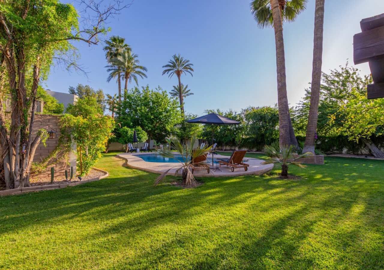 A backyard with a swimming pool, palm trees, and a lawn.