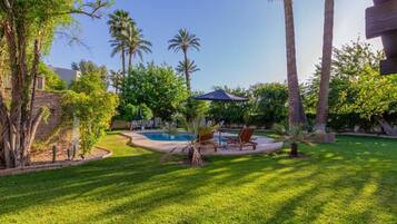 A backyard with a swimming pool, palm trees, and a lawn.
