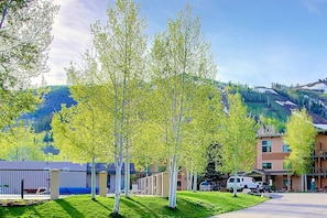 A residential area with a row of houses, a gated entrance, and a mountain backdrop.
