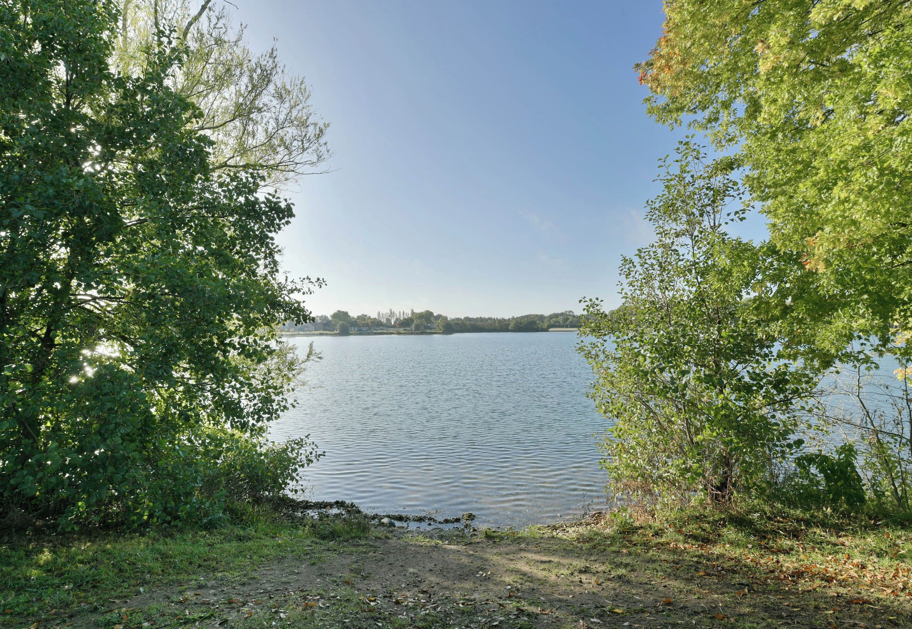 A lake surrounded by trees with a clear sky.