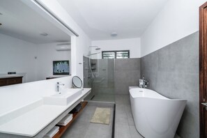 Shower, hair dryer, towels, toilet paper