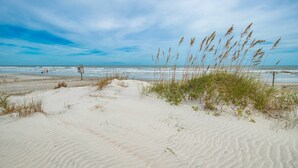 Een strand met duinen en gras.
