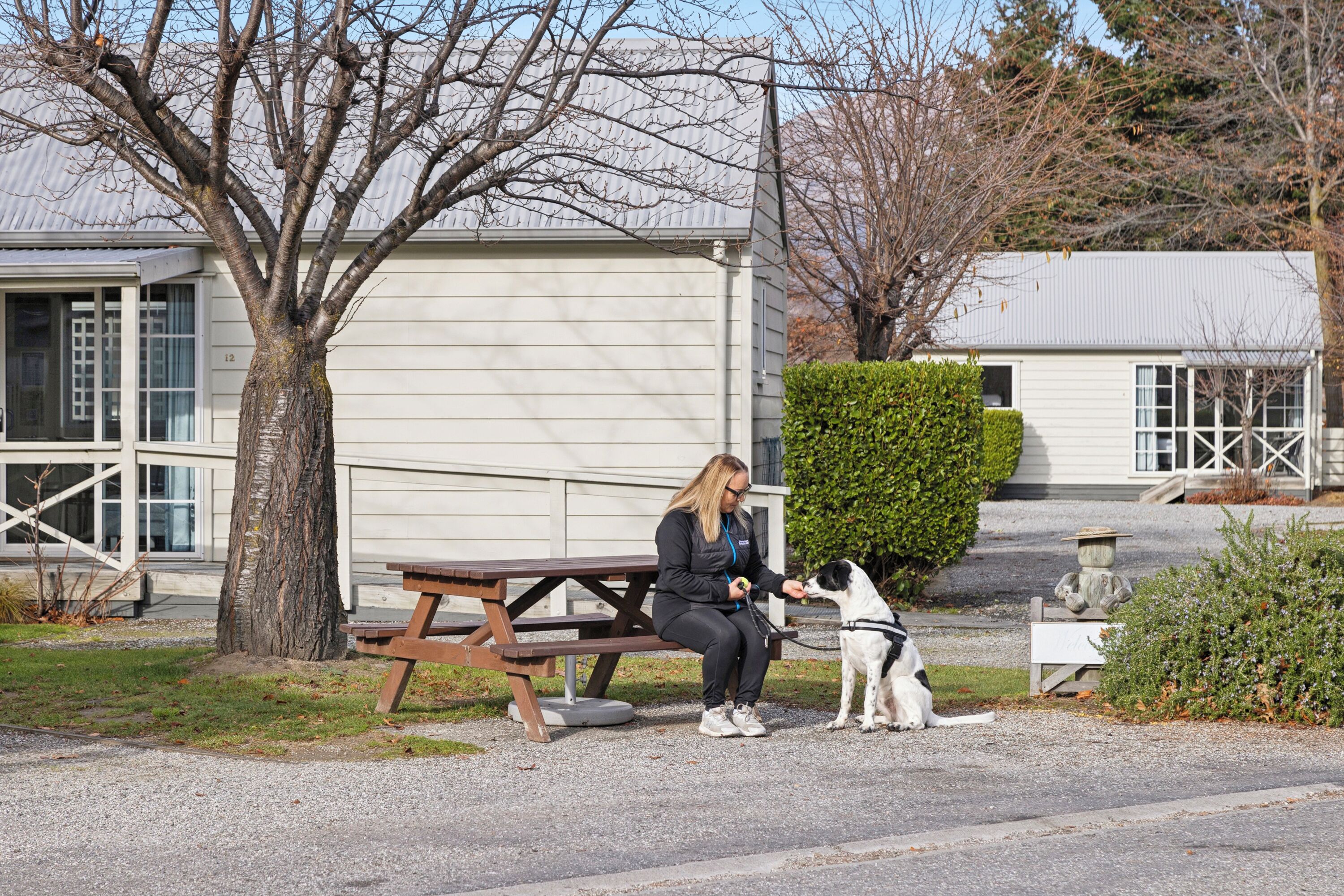 A woman sitting on a wooden bench outdoors, interacting with a dog.