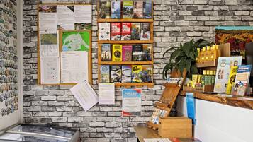 Una librería con un fondo de pared de ladrillo, varios libros de viajes y aventuras, y una pequeña planta en el mostrador.