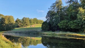 Un estanque tranquilo rodeado de exuberante vegetación y árboles, con un pequeño edificio al fondo.