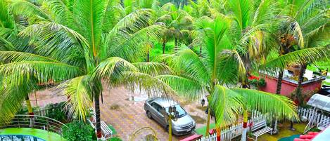 Utsikt fra overnattingsstedet