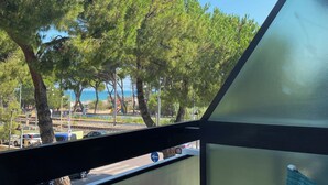 A view from a balcony with a glass railing, overlooking a coastal area with trees and a clear blue sky. - Hotel Astoria (Pineto)