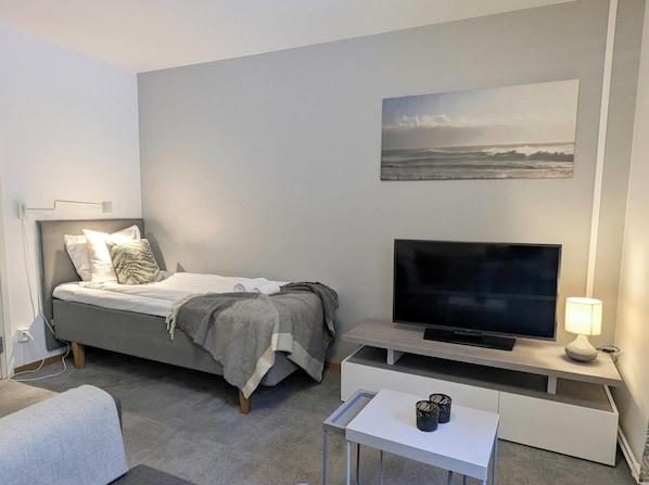 Basic Double or Twin Room