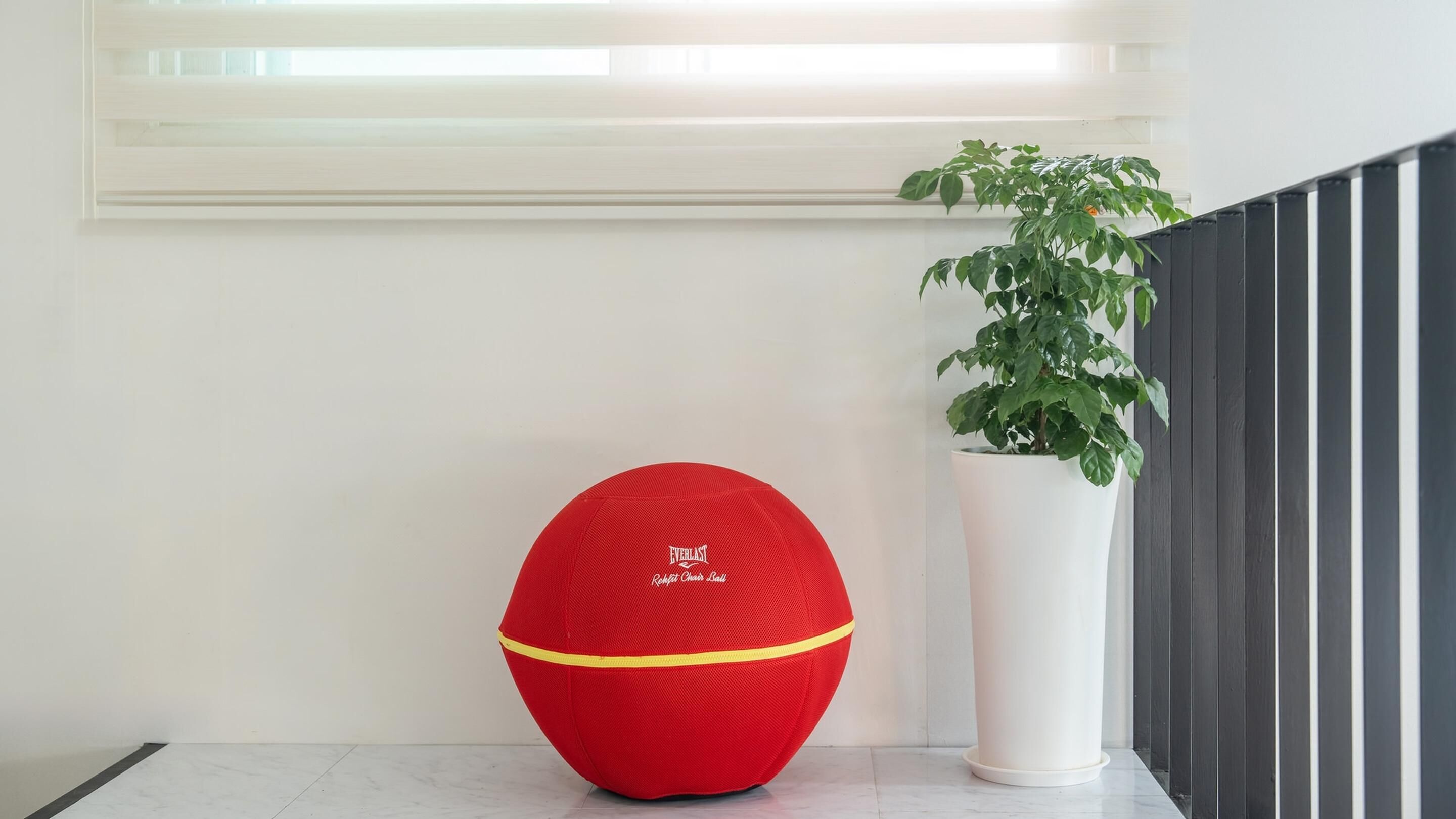A red exercise ball with "Everlast" branding, a potted plant, and a white wall with a window.
