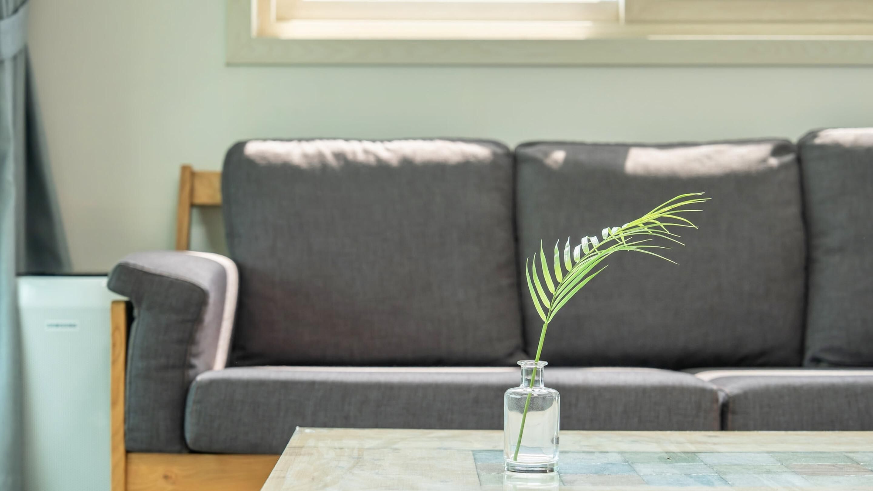 Ein Wohnzimmer mit einem grauen Sofa, einem kleinen Tisch mit einer klaren Glasvase und einer einzelnen grünen Pflanze sowie einem Fenster, das natürliches Licht hereinlässt.