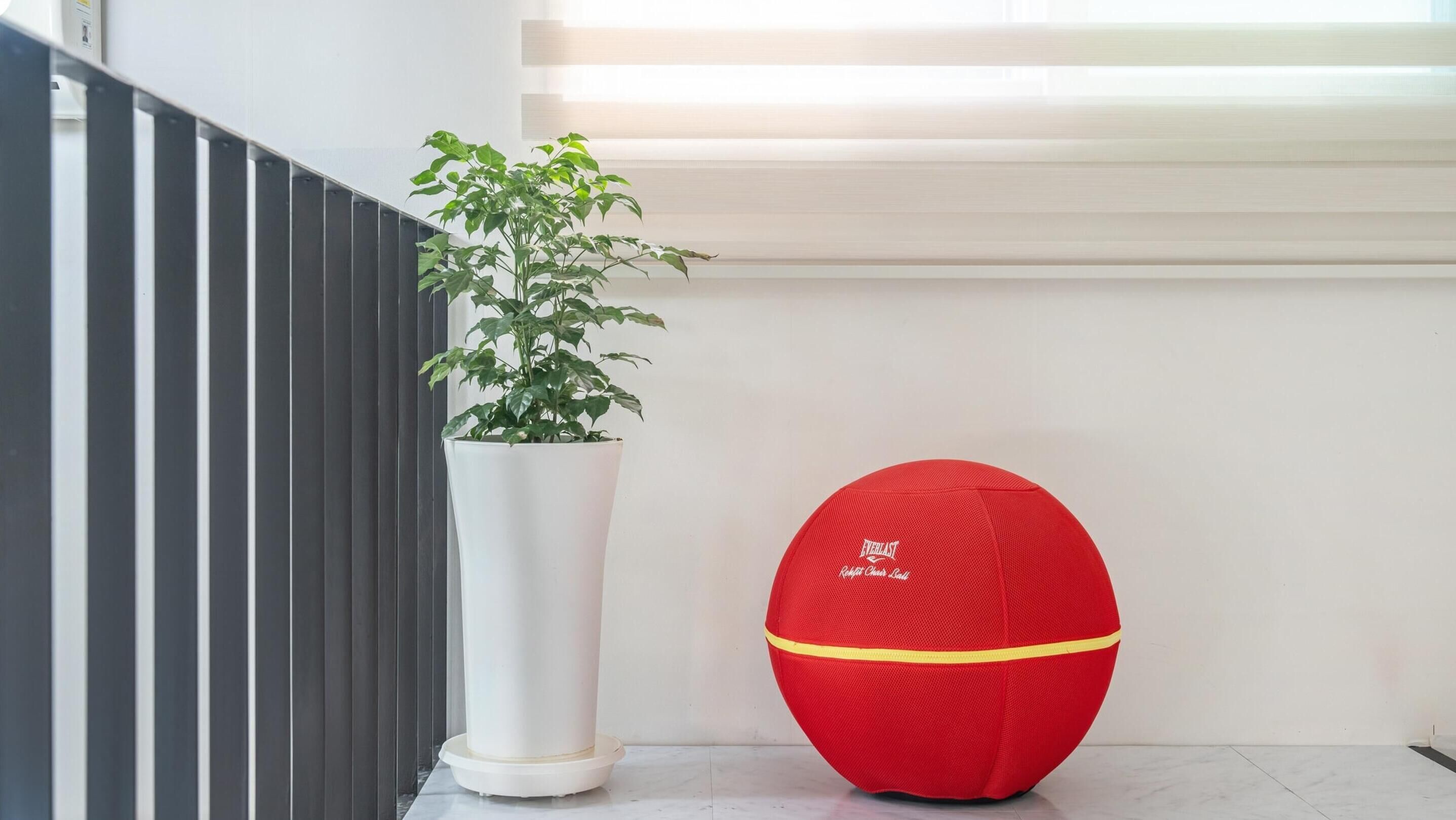 A potted plant next to a red exercise ball in a hallway with a striped wall and a window.