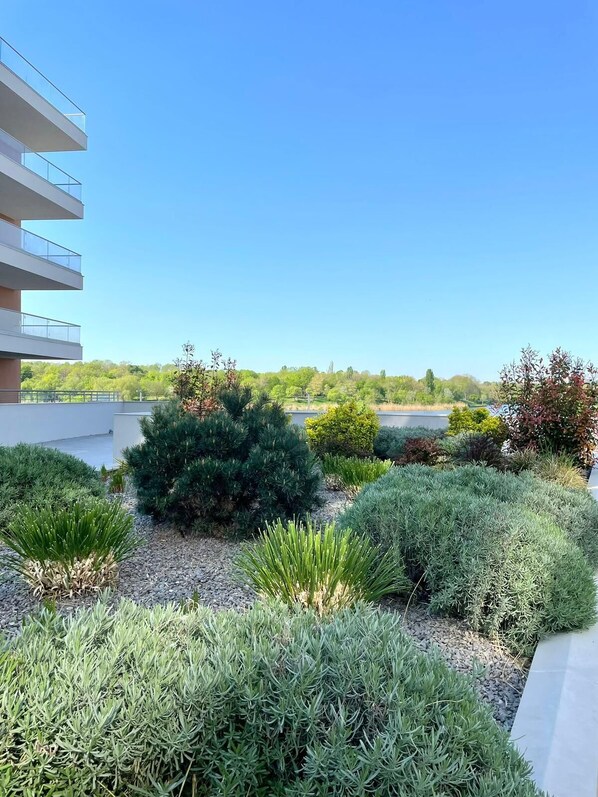 المنطقة المحيطة بالمنشأة