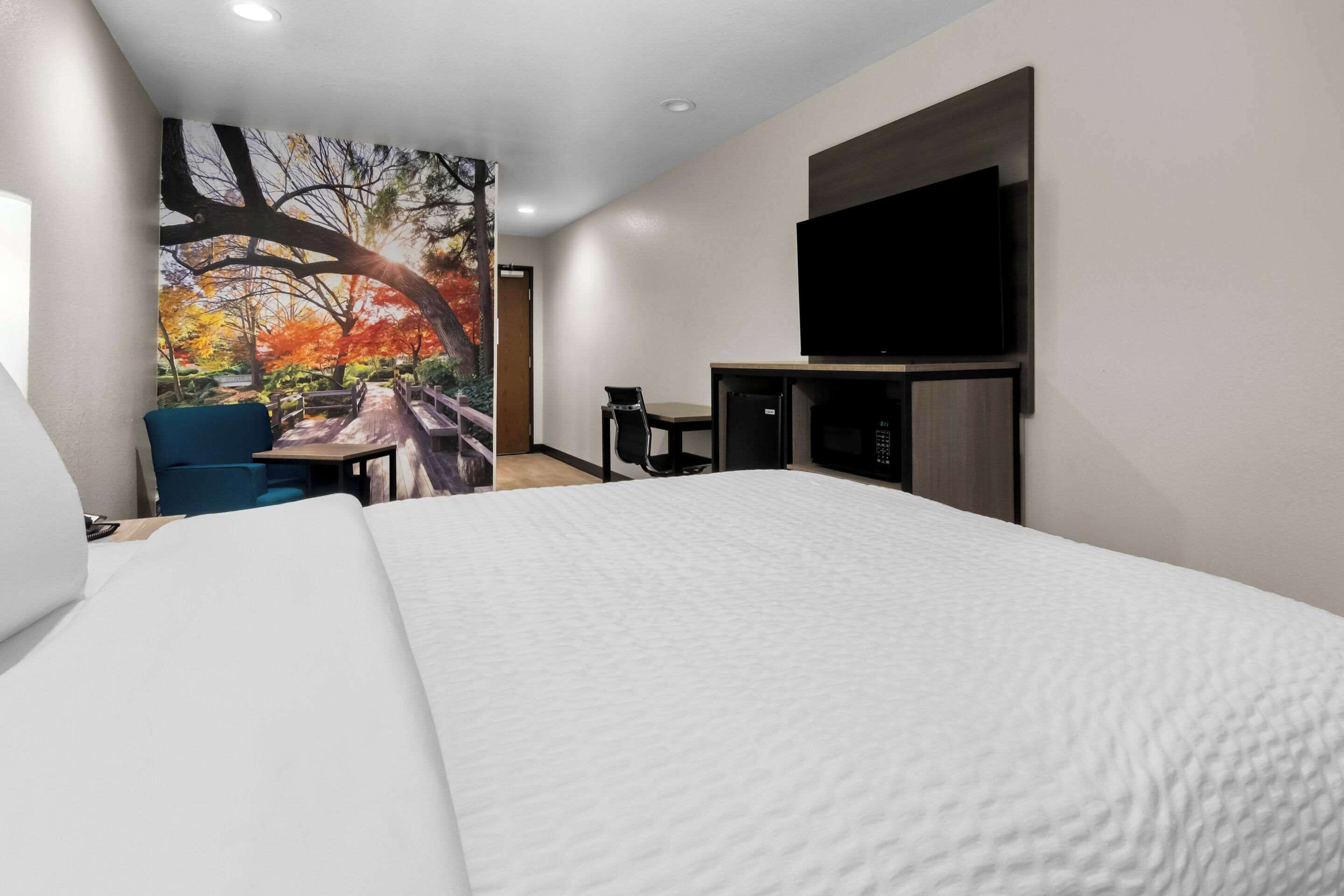 Ein Hotelzimmer mit einem großen Bett, einem Schreibtisch mit Stuhl, einem Flachbildfernseher an der Wand und einem Wandbild einer Brücke im Herbstlaub.